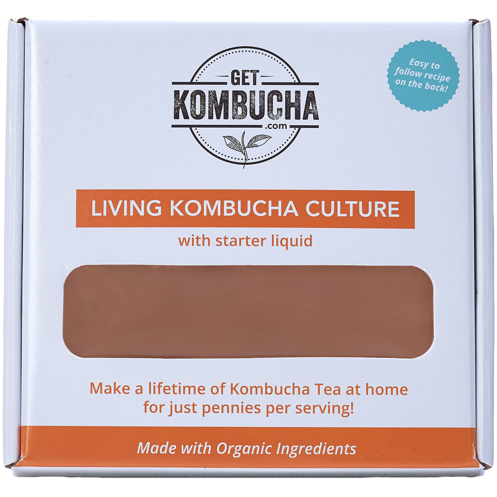 Kombucha Culture (SCOBY) w/ Free Starter Liquid